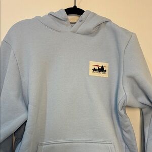 Patagonia Light Blue Hoodie